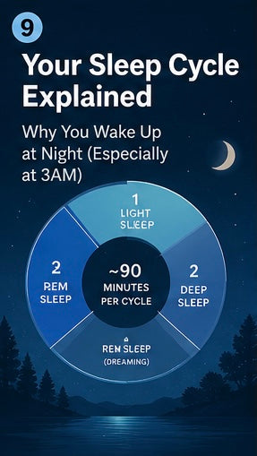 Your Sleep Cycle Explained: Why You Wake Up at Night (Especially at 3AM)